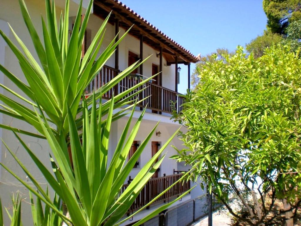 Olympion Apartments Stafylos Bagian luar foto